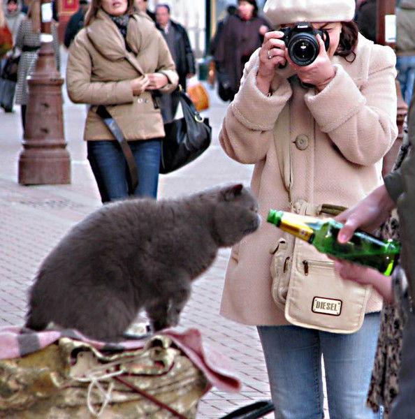 Алексей Венидиктов