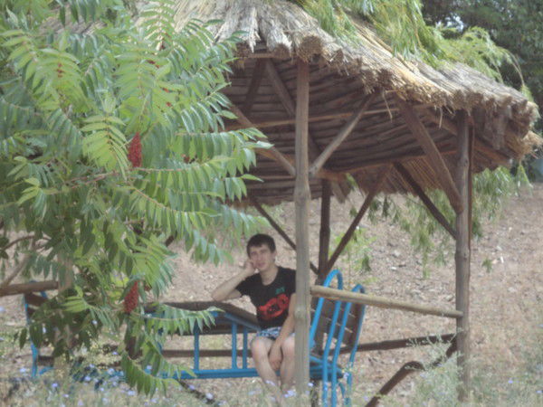 Роман Частников