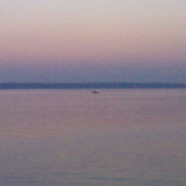 Анастасия Петрова