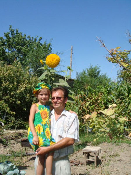 Талгат Усманов