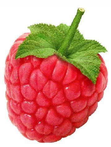 Алла Гецман