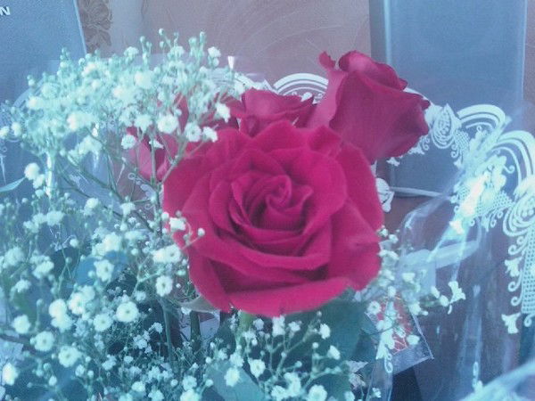 Мария Соболева