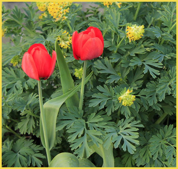 Геннадий Трущелев