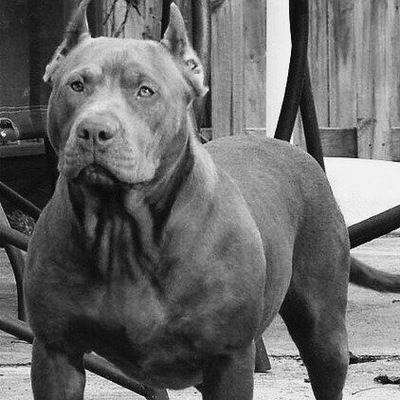 Никита Камаев