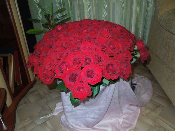 Диляра Аслямова