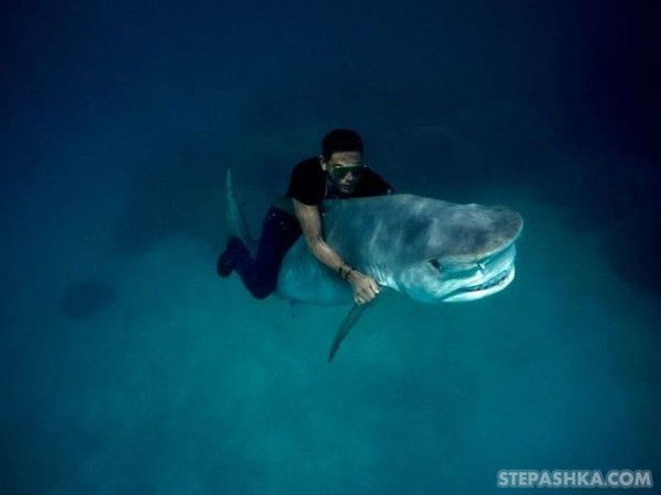 Алексей Маклаков