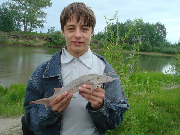 Станислав Васильев