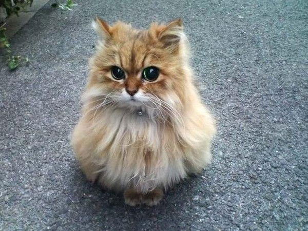 Женька Ильина