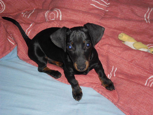 Ольга Дядева