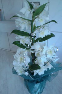 Юля Назарова-Хёгман