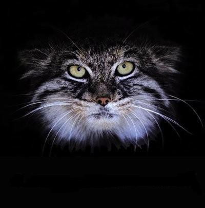 Олег Блинов