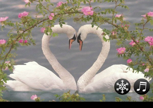 Валерий Большаков