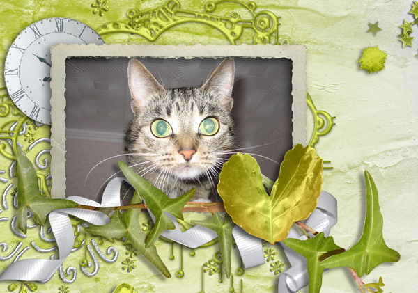 Галина Суслова