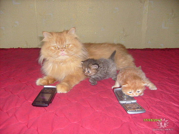 Вера Шатохина