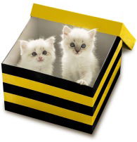 Тт Ладожская