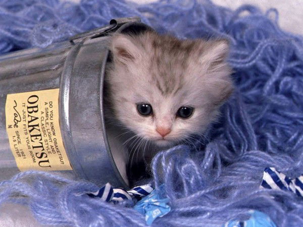 Сергей Zombi Ferma