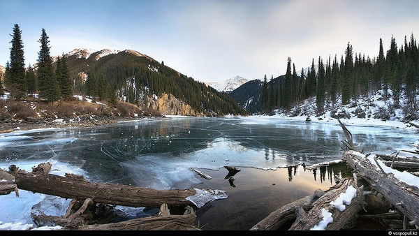 Типография Жалгас-Print