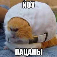 Георгий Лазарук