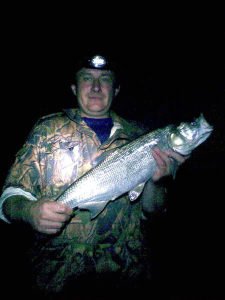 Анатолий Аванькин