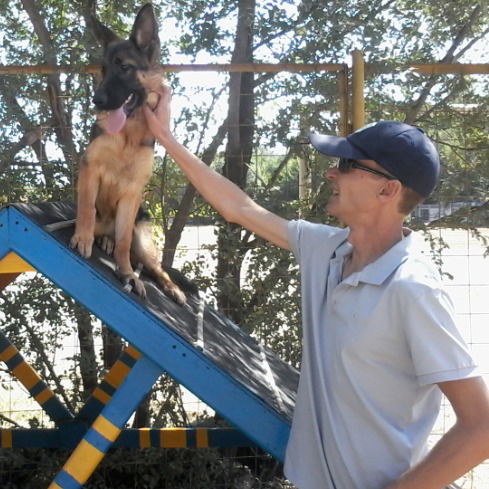 Андрей Панков