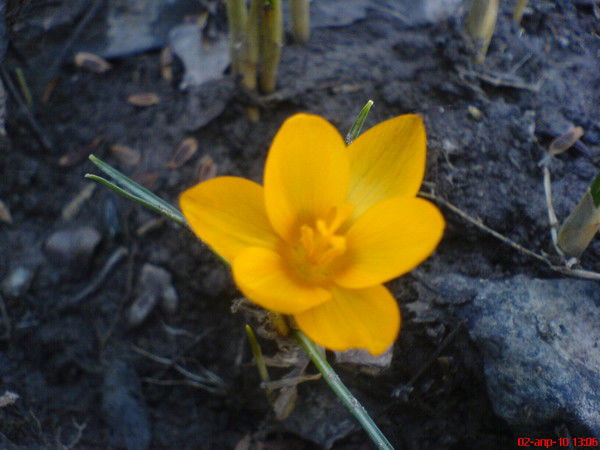 Галина Барышникова