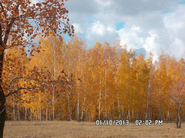 Ларионов Михаил