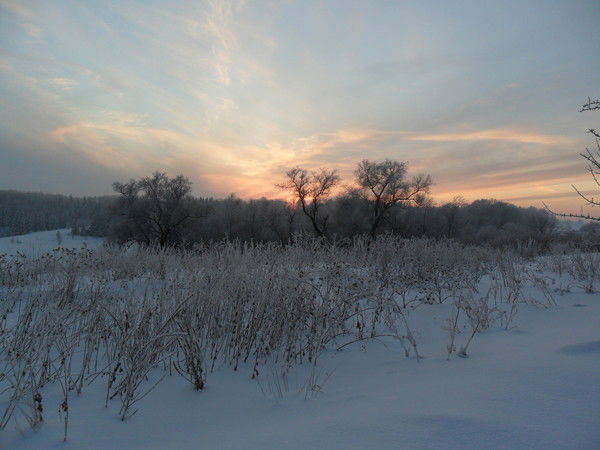 Наталия Плахова