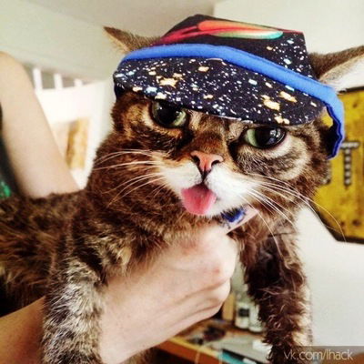 Анастасия Новикова