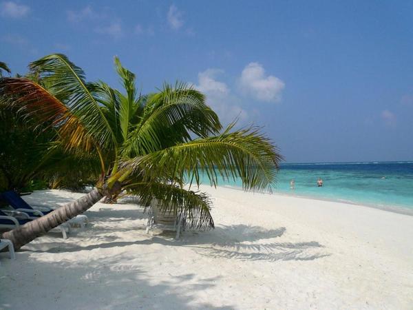 Неизвестно Неизвестно