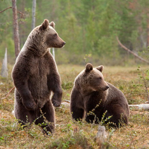 Филипп Пудовкин