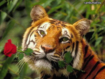 Искендер Старов