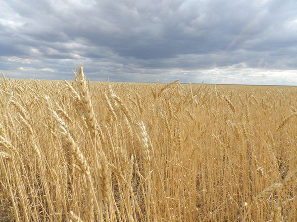 Отдел Сельского Хозяйства Егиндыкольского Района