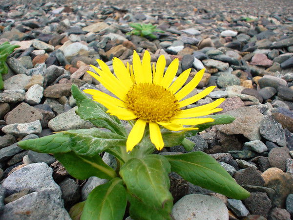 Татьяна Червякова