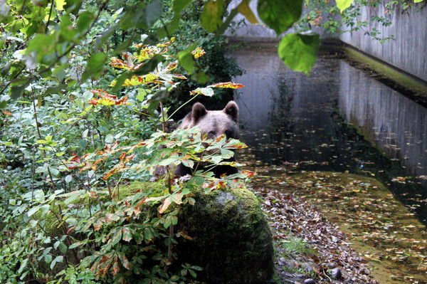 Алексей Рябов