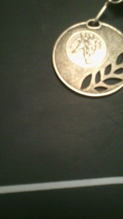 Зенит Питер