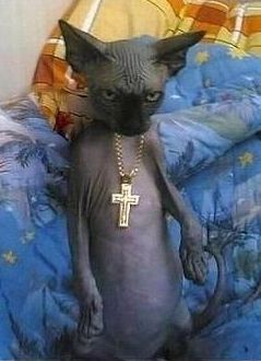 Михаил Александрович