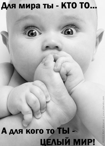 Арман Бердикулов