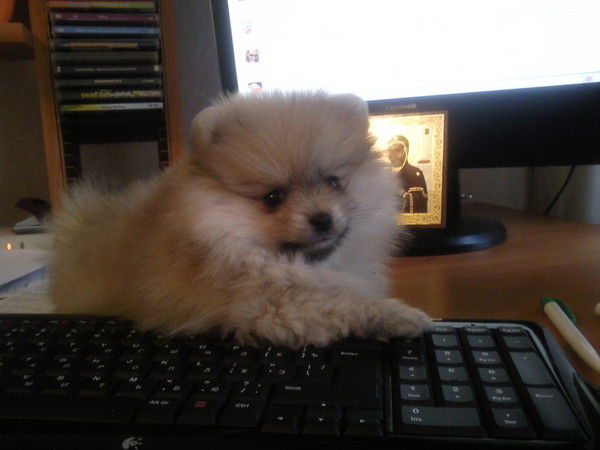 Людмила Агапитова