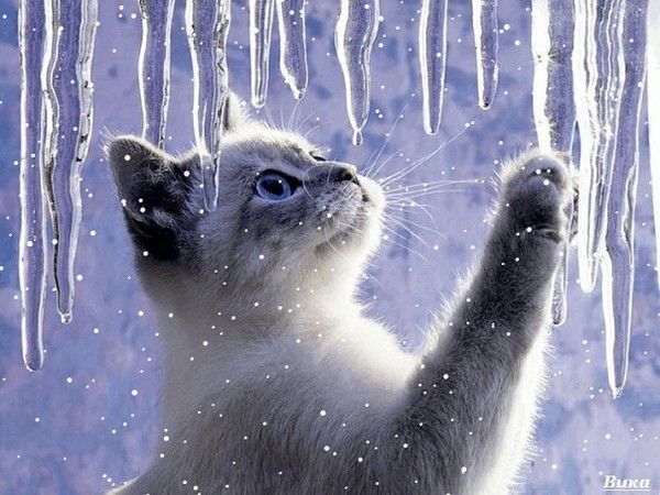 Наталья Нагорная