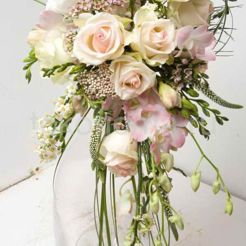 Таня Хорева