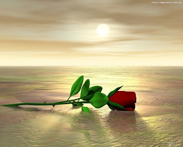 Елена Калинова