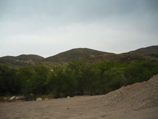 Эльмира Менсагиева