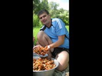 Андрей Стрельник