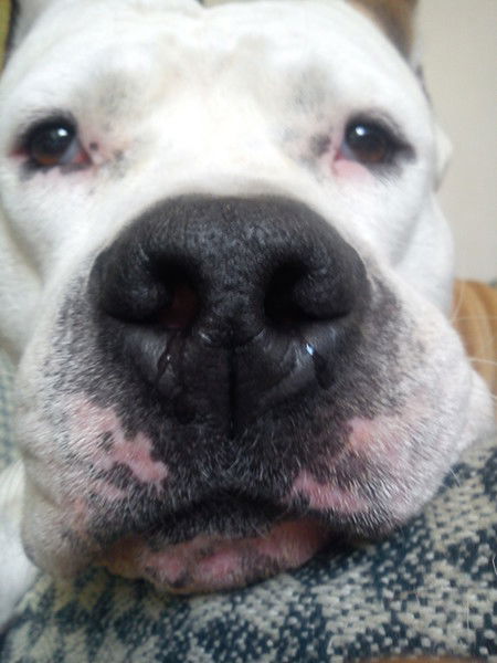 Маргарита Шатрова