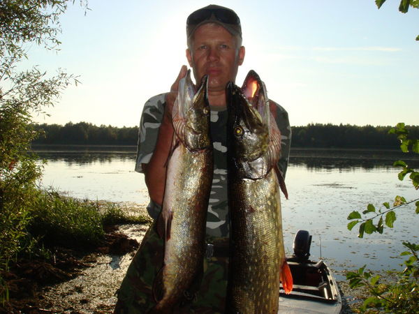 Aнатолий Зенич