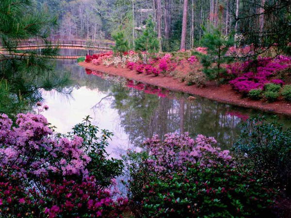 Роза Имранзиева