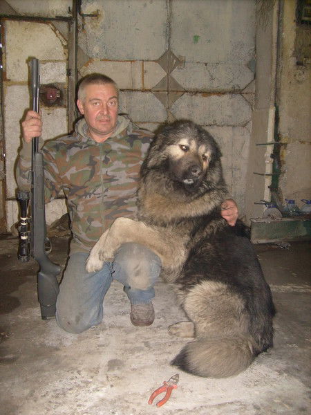 Евгений Прохор