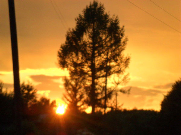 Андрей Карпов