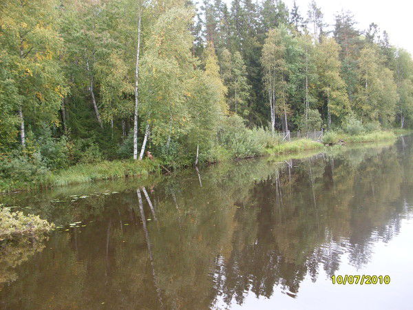 Александр Юнак