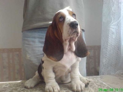 Мария Риннус